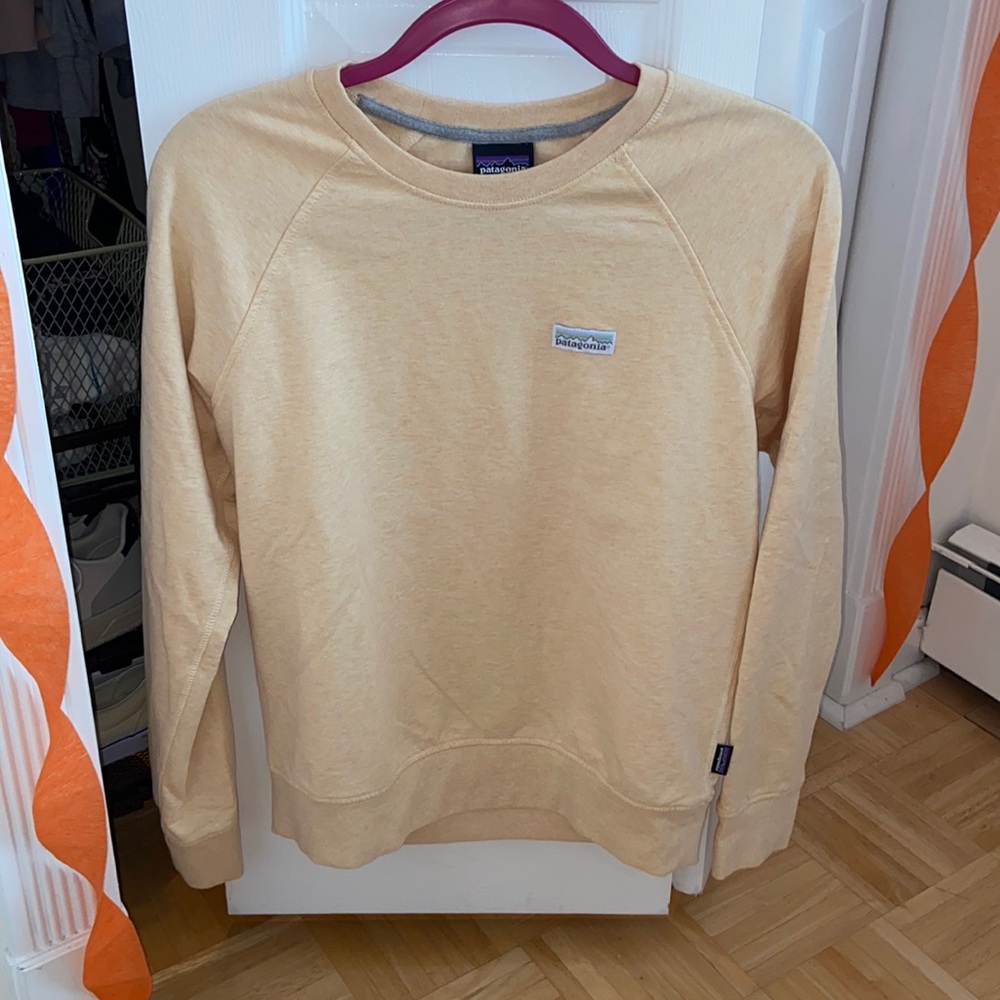 Patagonia Crewneck